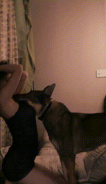 【YY直播】小啾啾 蠕动小腰表情吸金性感热舞资源[25V-3.3G]