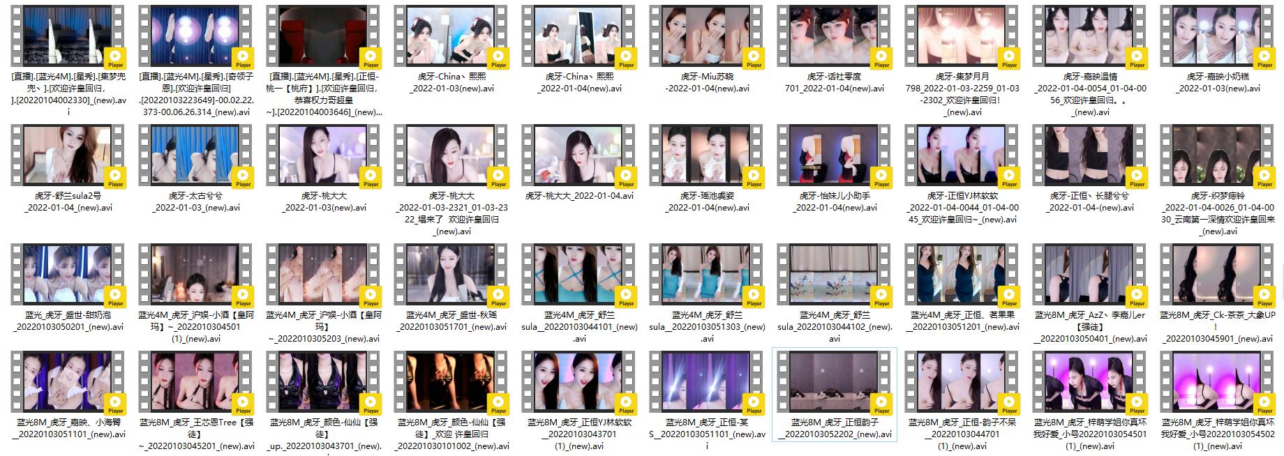 【虎牙】多主播 欢迎神豪归来两日深夜藏宝图整活开车合集资源[40V-4.24G]