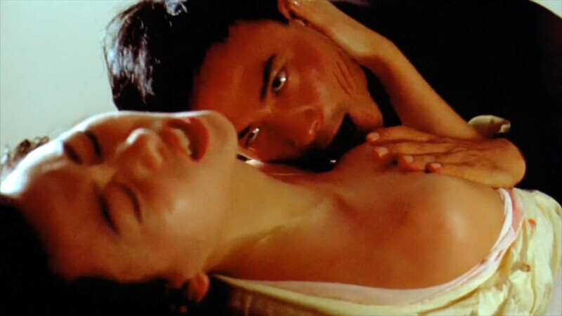 【港】翁虹 – 影视精华刺激片段剪辑合集资源[9段-403M]