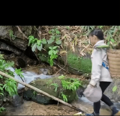 快手上的擦边短片“竹笋炒肉”，好逆天也好奇怪资源[115M]