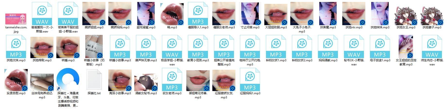 【音频】小野猫 高质中文音声精选44部合集资源[1.58G]