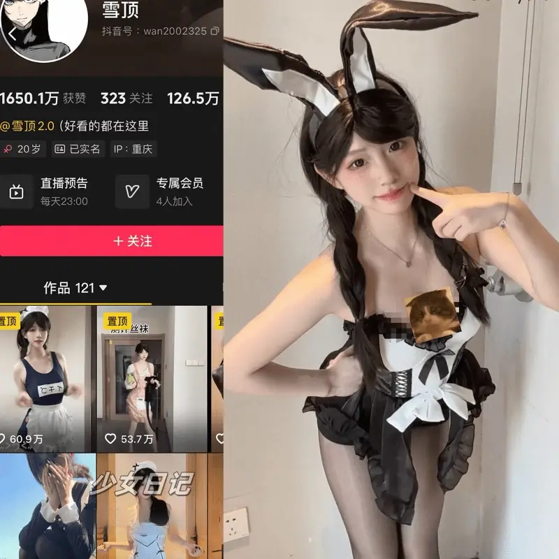 抖音雪顶 岛遇合集资源[2025年最新资源更新中]