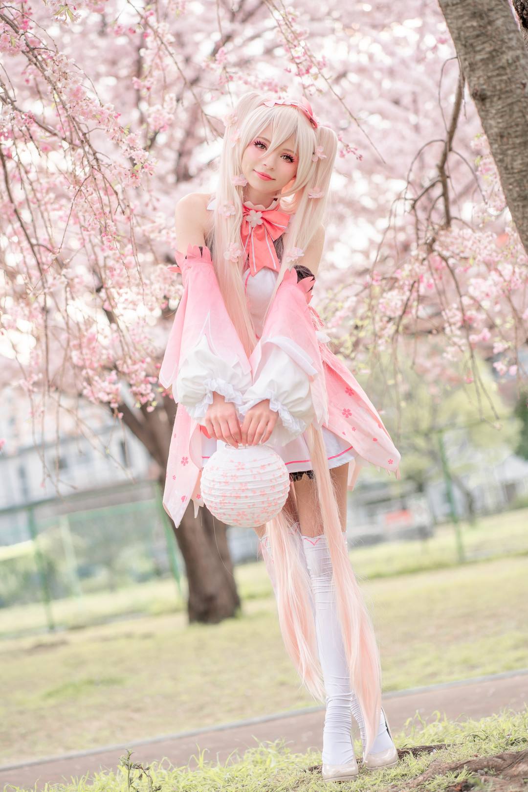 Peachmilky写真套图合集打包下载66套 22GB 3 Peachmilky写真套图合集打包下载66套 22GB资源下载-主播团吧