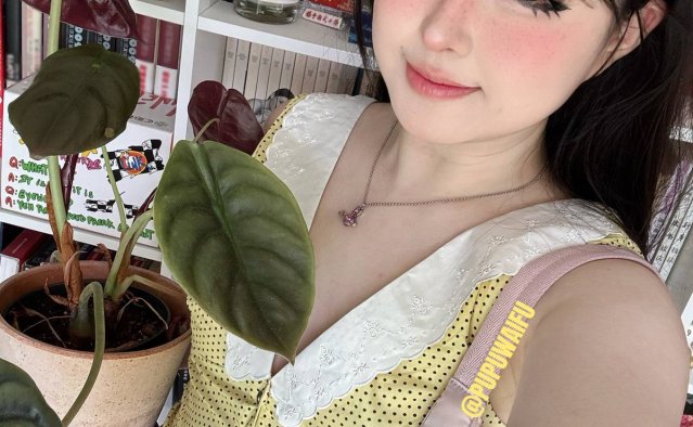 噗噗pupu(Aheyanlz) 作品合集打包 [362v-157G] 持续更新资源下载